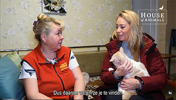 Weer 24 honden gevonden bij fokker die veroordeeld is voor dierenmishandeling | NU.nl