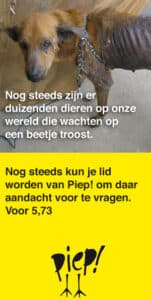 Campagens Piep!