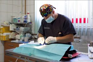Dierenarts Aurelian Stefan