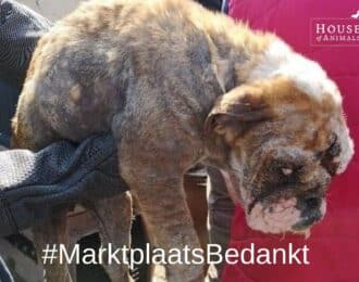 #MarktplaatsBedankt