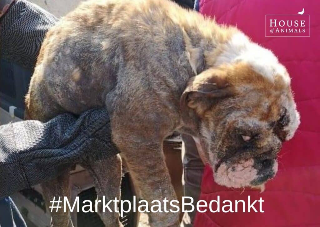 #marktplaatsbedankt