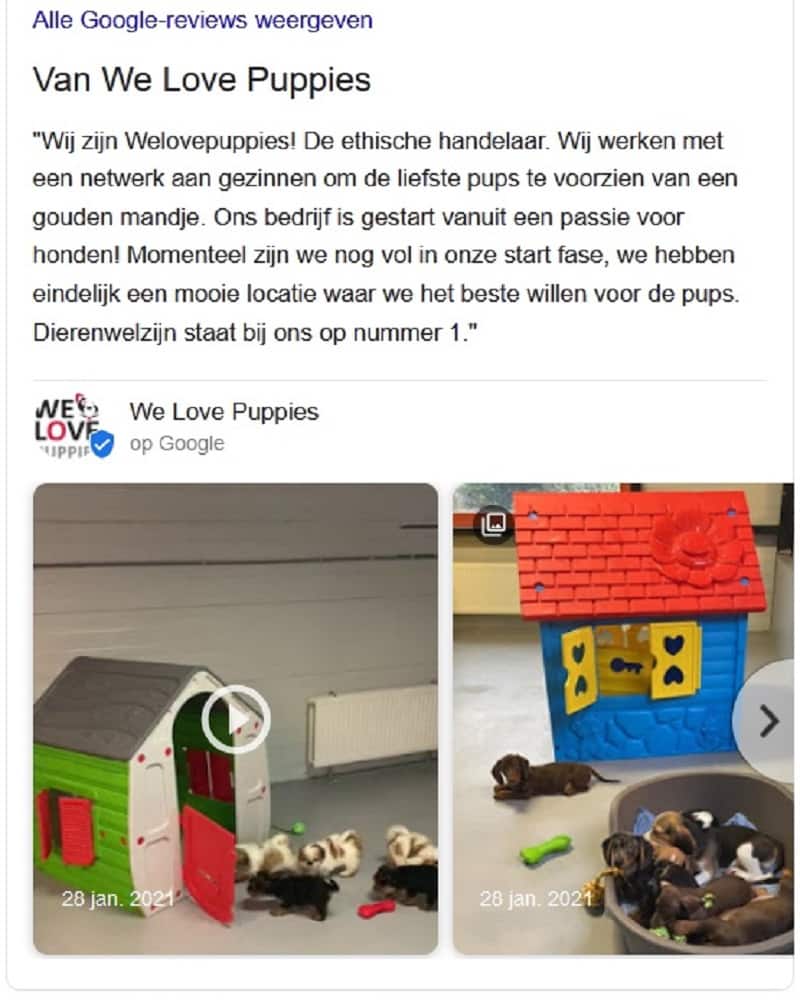 De aanhouder wint: We Love Puppies permanent gesloten