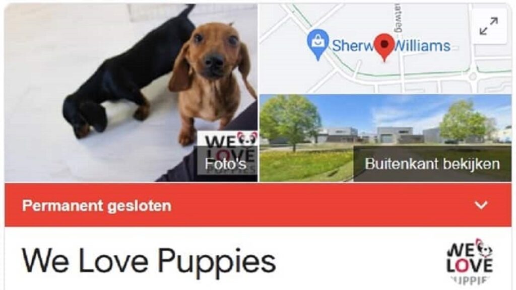De aanhouder wint: We Love Puppies permanent gesloten