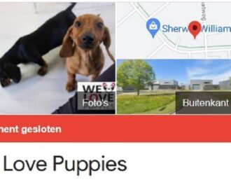 De aanhouder wint: We Love Puppies permanent gesloten