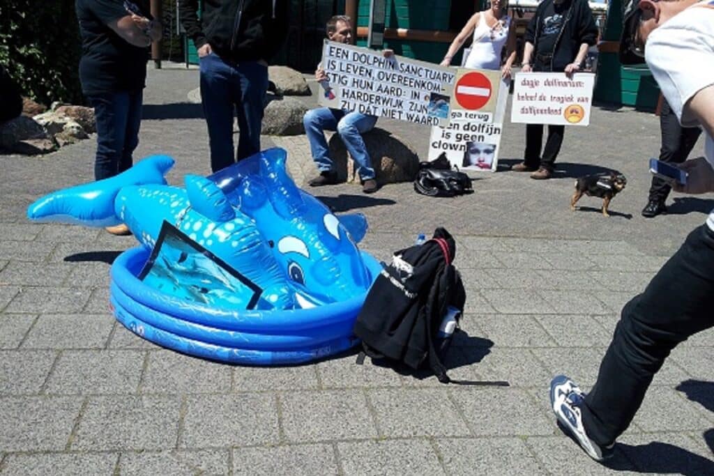 Samen naar de rechter tegen het Dolfinarium