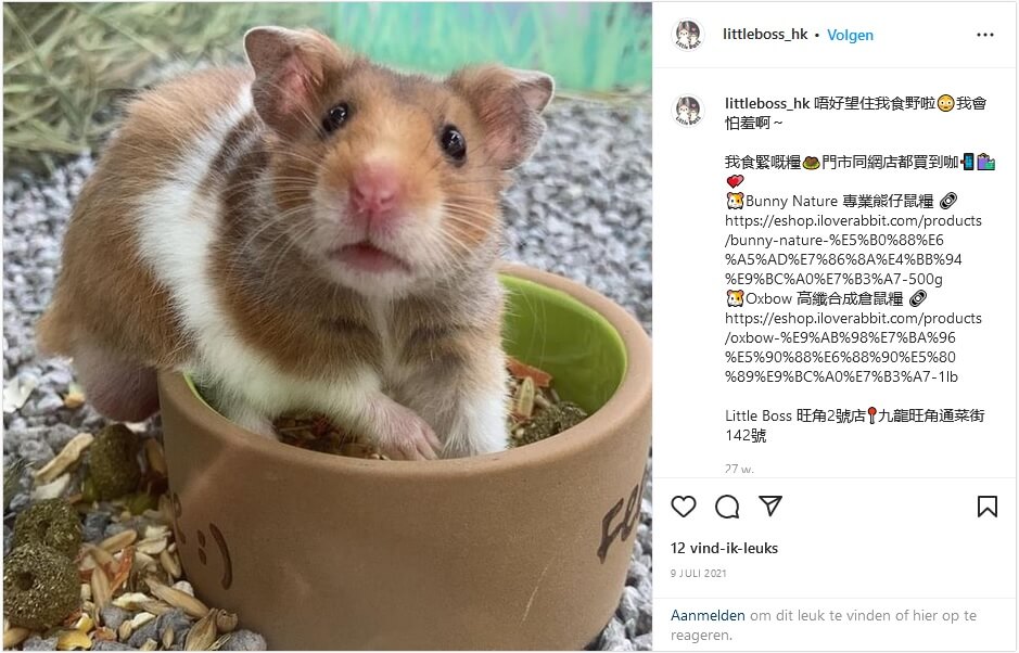 Hamsters zijn geen rotzooi