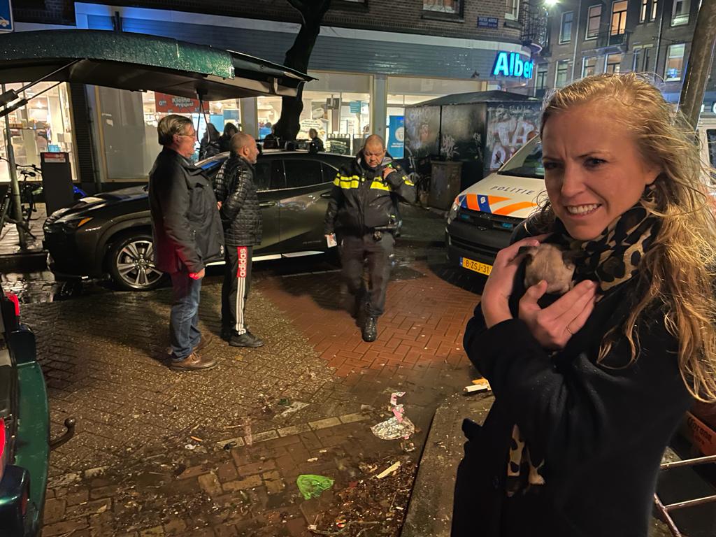 Politie Amsterdam arresteert Bulgaarse puppykoerier