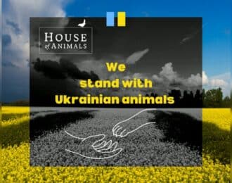 We stand with Ukrainian Animals