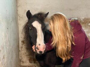 House-of-Animals-Oekraiense-pony-in-nood