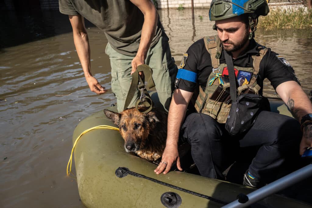 House of Animals naar overstroomd rampgebied Oekraïne