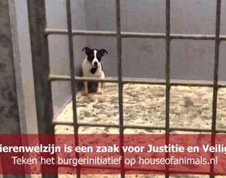 Burgerinitiatief Dierenwelzijn is een zaak voor Justitie en Veiligheid