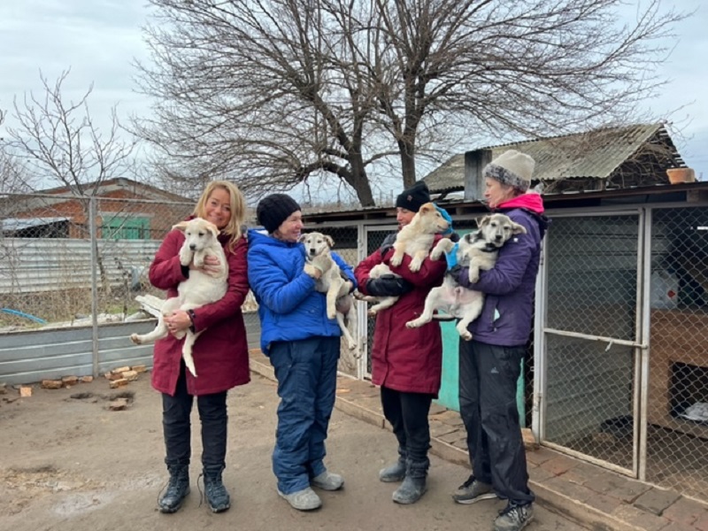 Kerstbrokken voor The City of Dog in Mikolaiv