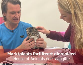 Marktplaats faciliteert dierenleed, House of Animals doet aangifte