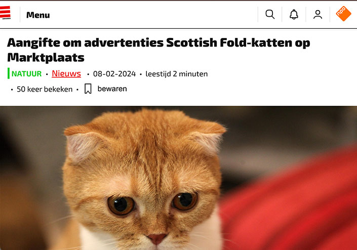 Aangifte om advertenties Scottish Fold-katten op Marktplaats