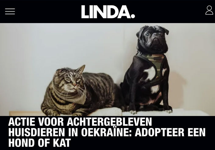 ACTIE VOOR ACHTERGEBLEVEN HUISDIEREN IN OEKRAÏNE: ADOPTEER EEN HOND OF KAT