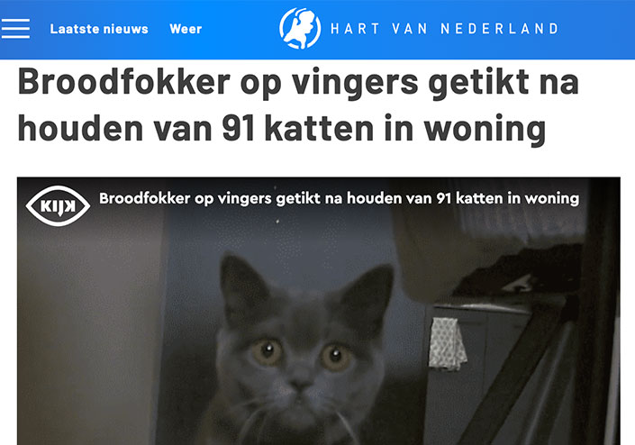 Broodfokker op vingers getikt na houden van 91 katten in woning