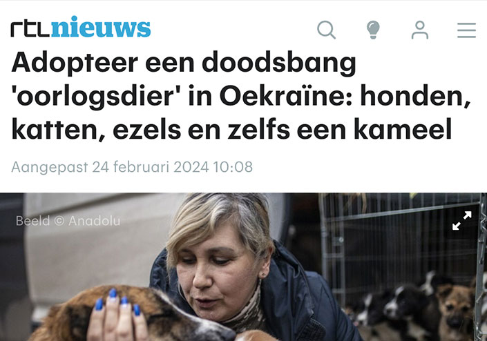 Adopteer een doodsbang 'oorlogsdier' in Oekraïne: honden, katten, ezels en zelfs een kameel