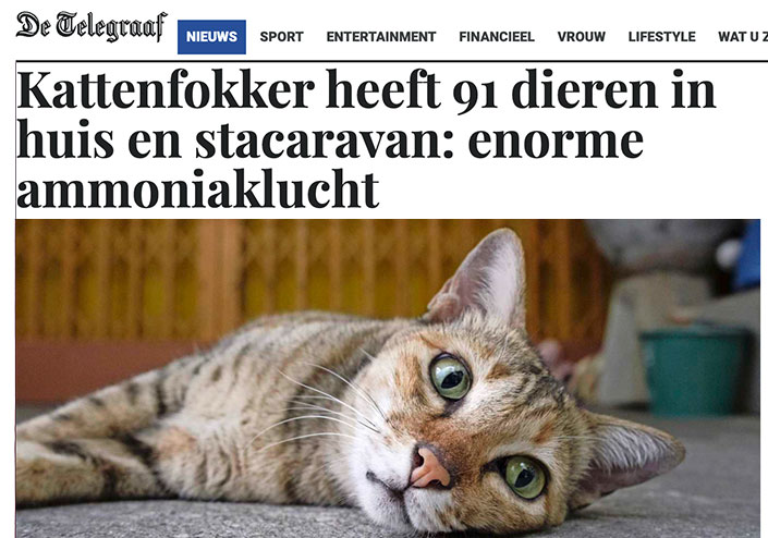 Kattenfokker heeft 91 dieren in huis en stacaravan: enorme ammoniaklucht