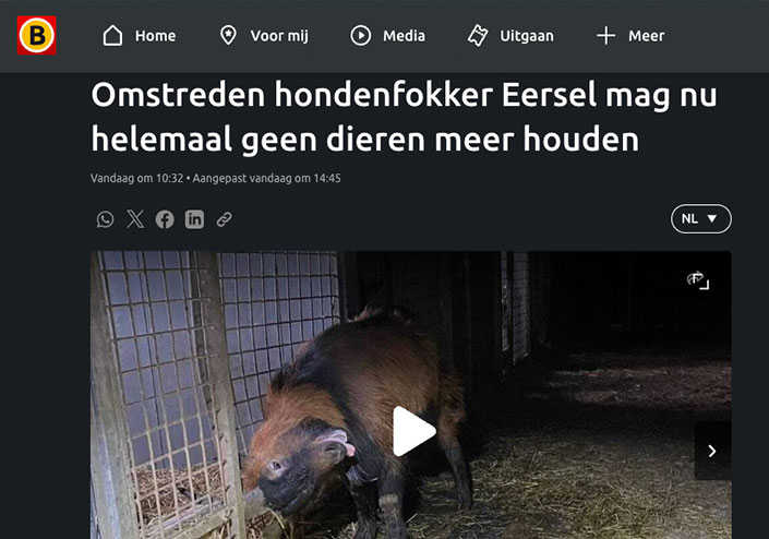 Omstreden hondenfokker Eersel mag nu helemaal geen dieren meer houden