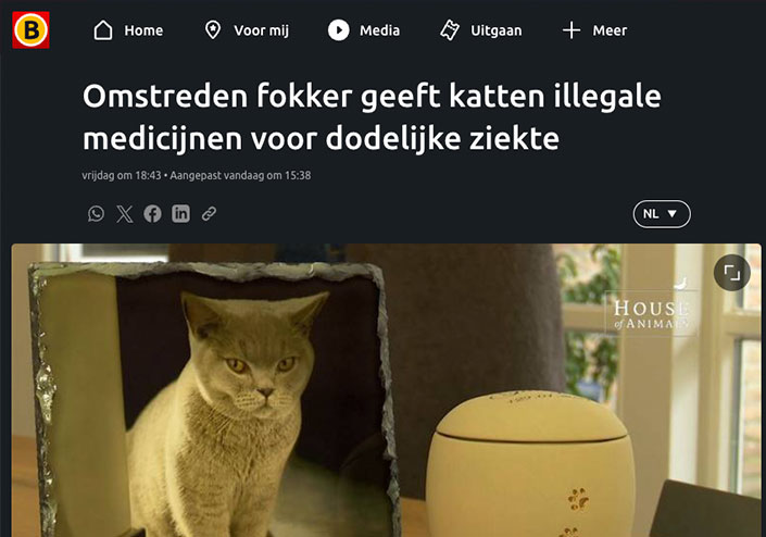 Omstreden fokker geeft katten illegale medicijnen voor dodelijke ziekte