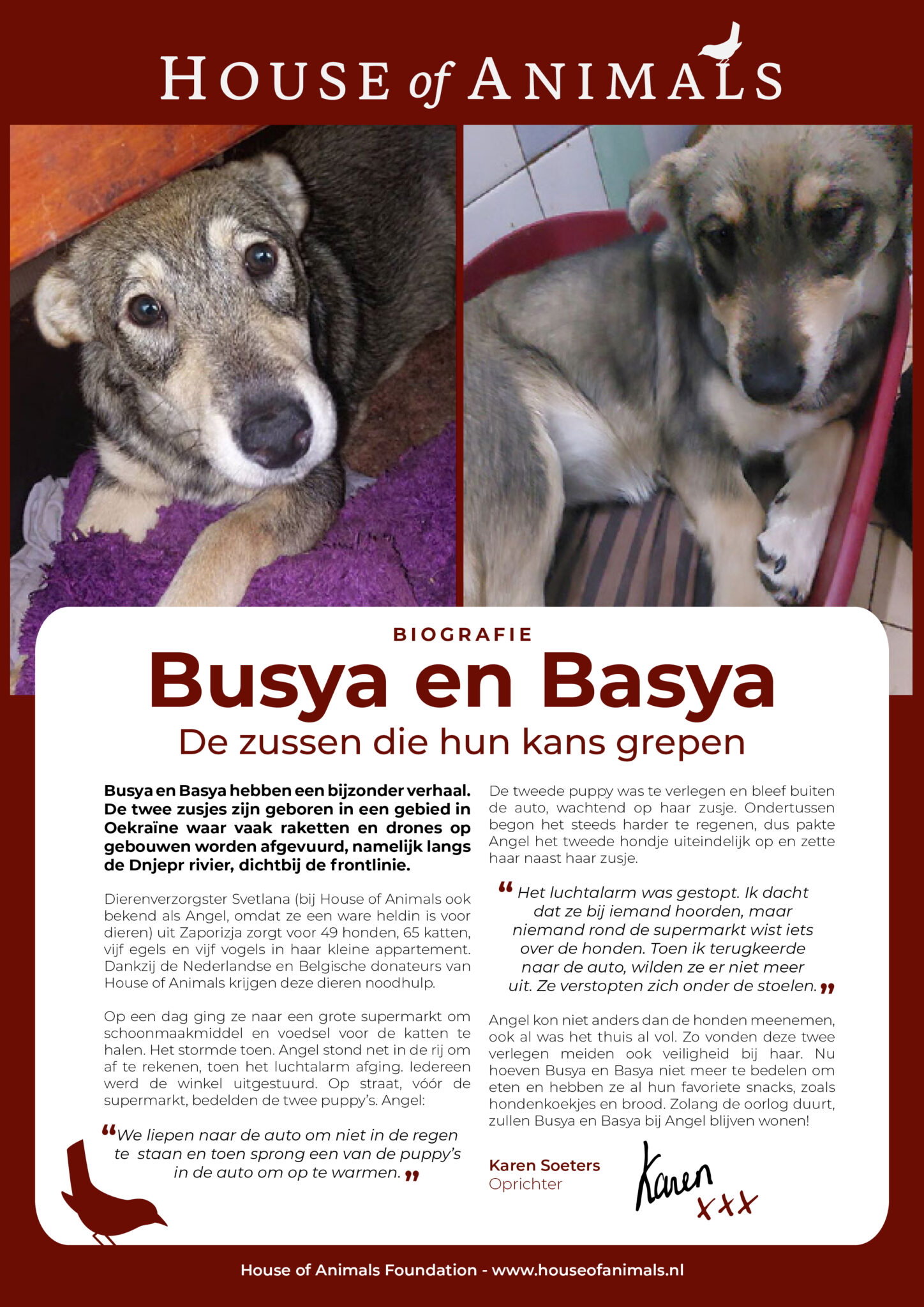 biografie Busya en Basya