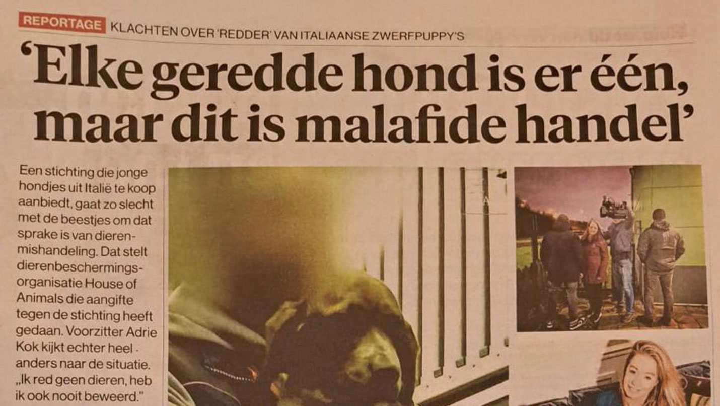 ‘Redder’ van zwerfpups sleept House of Animals voor de rechter: ‘Er wordt hier een hetze gevoerd’