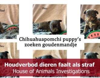 Houdverbod dieren faalt als straf
