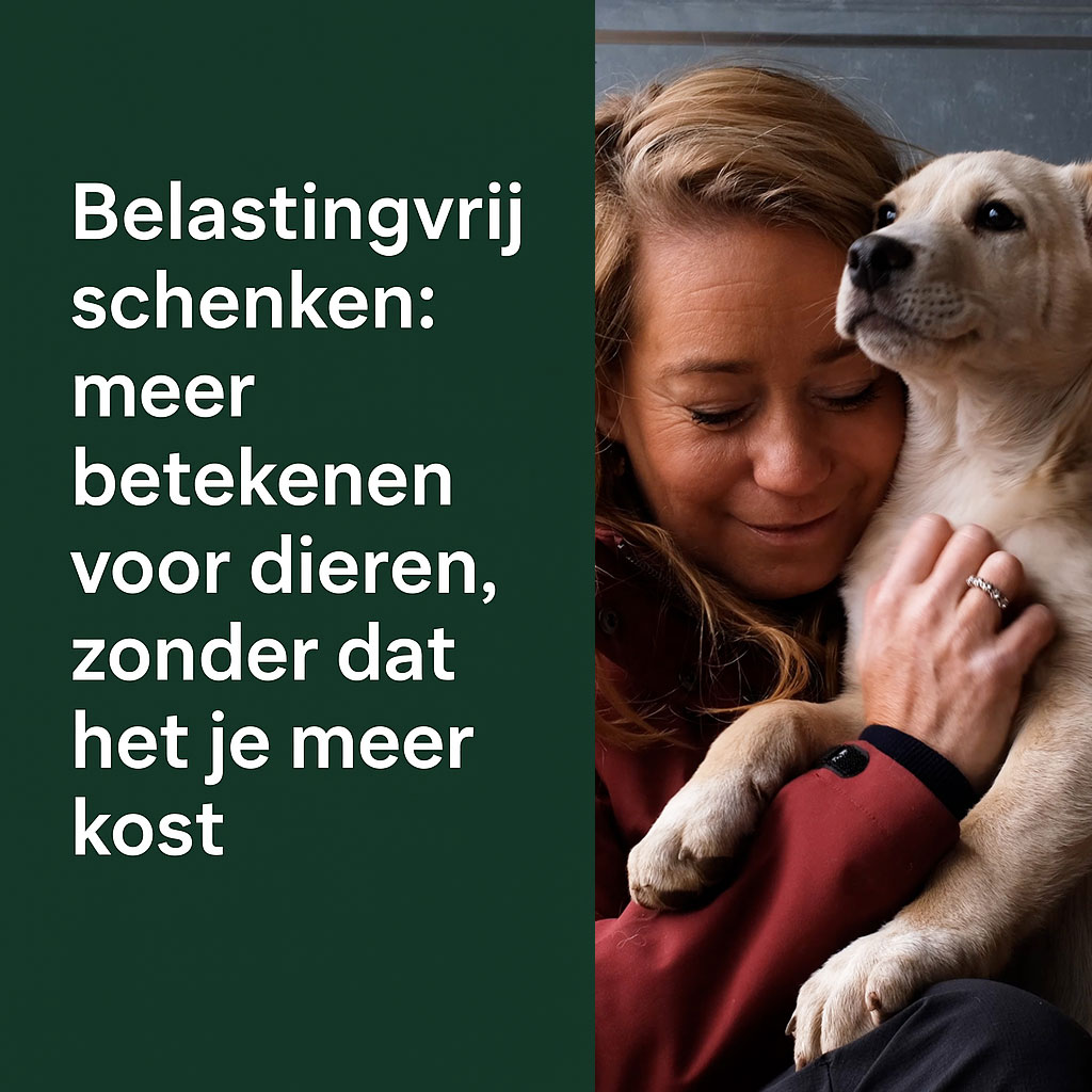 Belastingvrij schenken: meer betekenen voor dieren, zonder dat het je meer kost