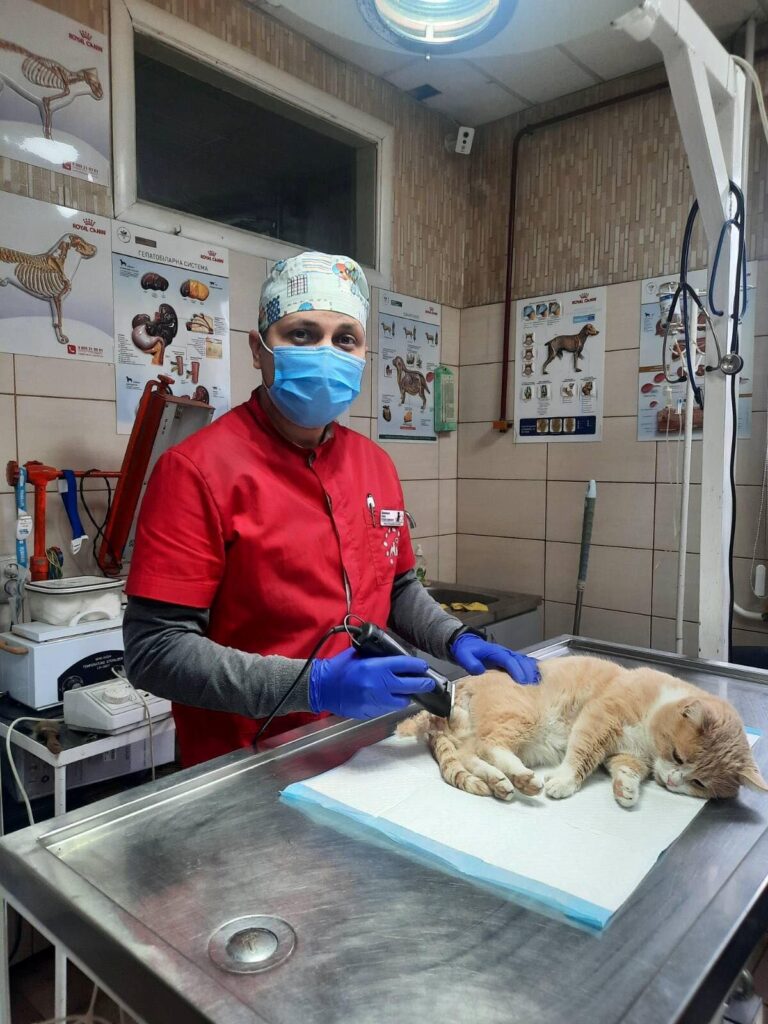 Er werkt nu een gediplomeerde dierenarts in de kliniek die geredde oorlogsdieren behandelt | Foto: Pegasus