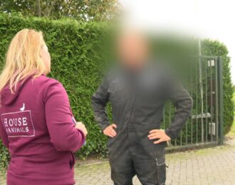 Handhaving tegen hondenfokker in Chaam is gestart