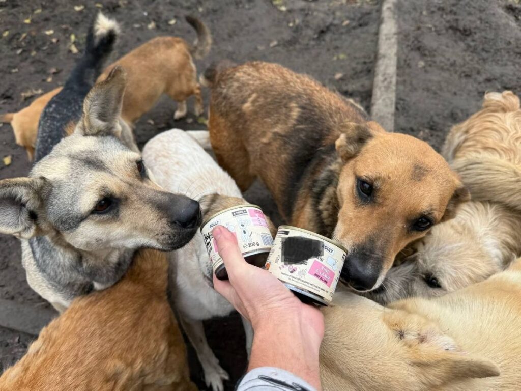Winter is coming! Brandhout en voer voor Oekraïense shelters