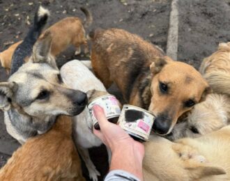 Winter is coming! Brandhout en voer voor Oekraïense shelters
