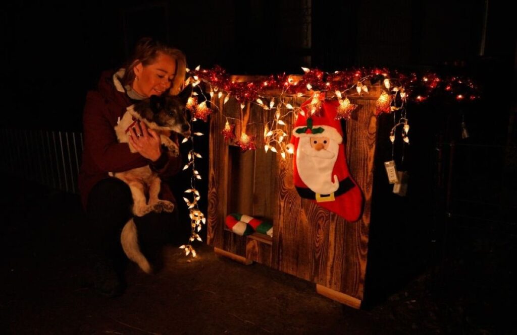 Nederlands kerstdorp voor oorlogsdieren geopend in Oekraïne | Foto: House of Animals