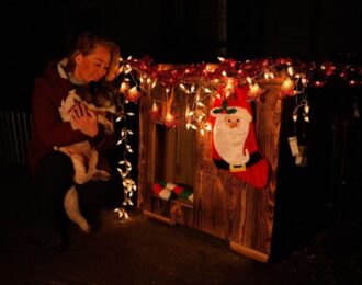 Nederlands kerstdorp voor oorlogsdieren geopend in Oekraïne | Foto: House of Animals