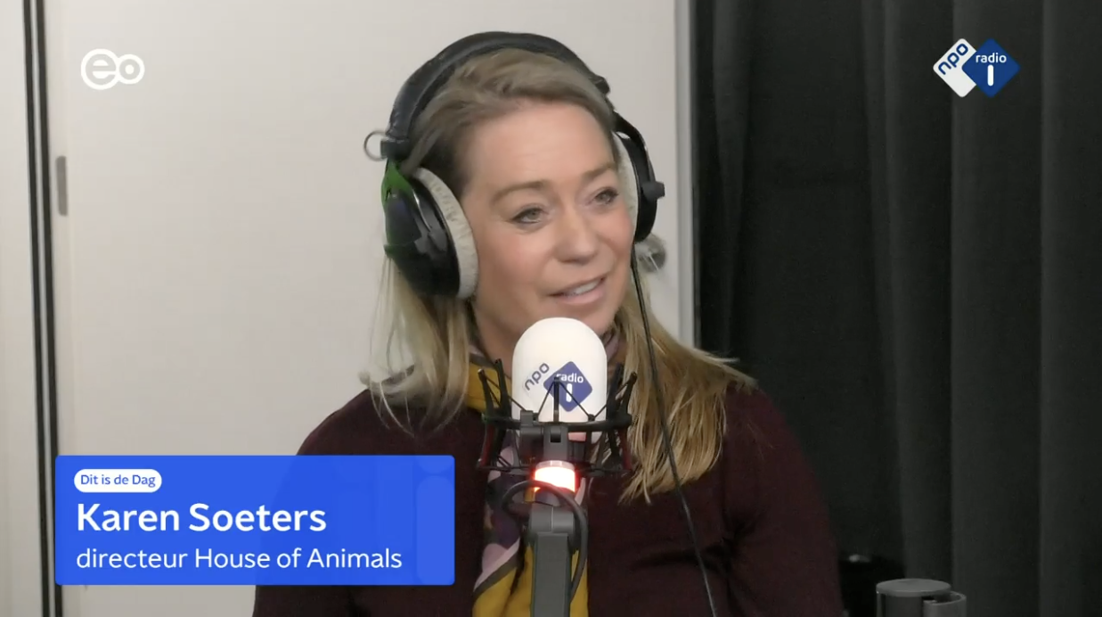 Nederlandse dierenbeschermers helpen achtergelaten huisdieren in Oekraïne