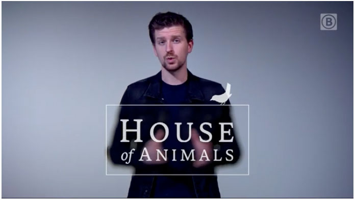 Beruchte hondenfokker eindelijk voor rechter: rechtszaal bomvol