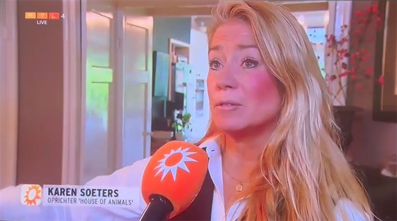 Nederlandse dierenbeschermers helpen achtergelaten huisdieren in Oekraïne