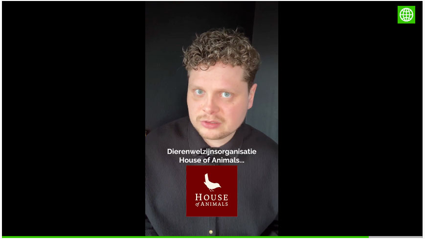 Gewonde én overleden dieren bij dierenpension in Darp: ‘Ons gezin is uit elkaar gerukt’