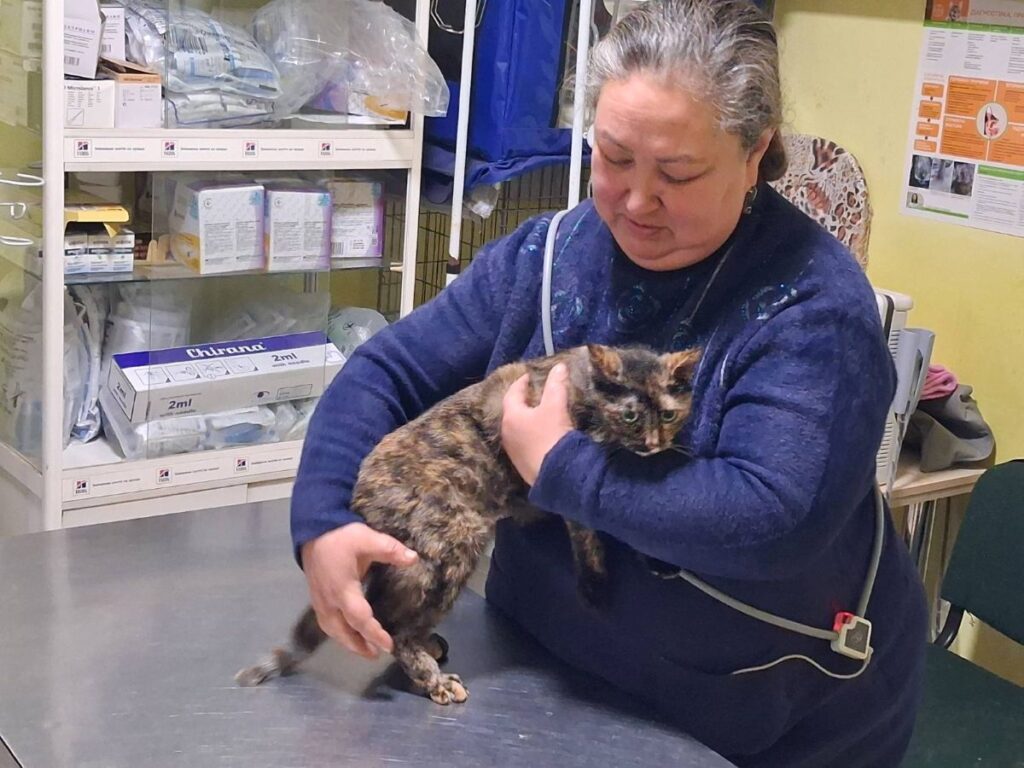 Ene zorgt voor oorlogsdieren uit de Oekraïense frontlinie | Foto: Ene Berdyeva