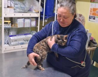 Ene zorgt voor oorlogsdieren uit de Oekraïense frontlinie | Foto: Ene Berdyeva