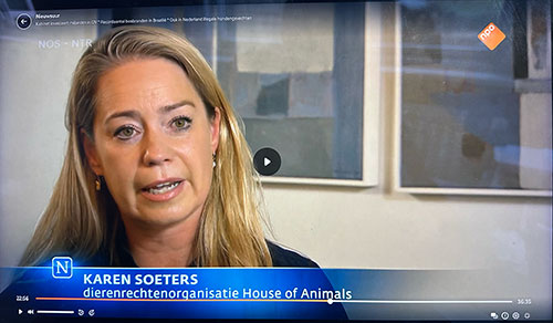 Nieuwsuur reportage over hondengevechten