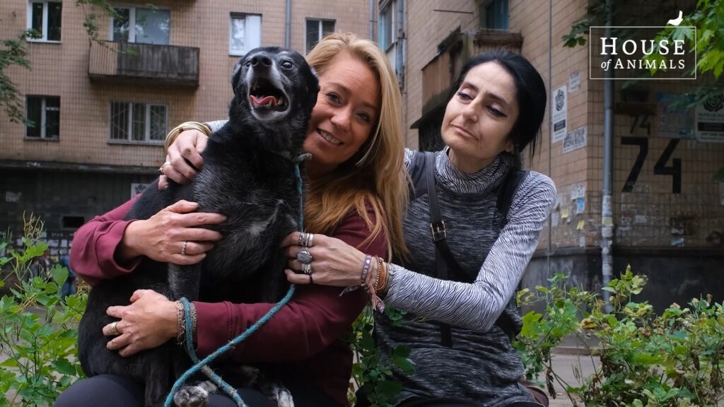 Vier jaar noodhulp in Oekraïne: Angel’s aangrijpende verhaal | Foto: ©House of Animals