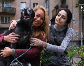 Vier jaar noodhulp in Oekraïne: Angel’s aangrijpende verhaal | Foto: ©House of Animals