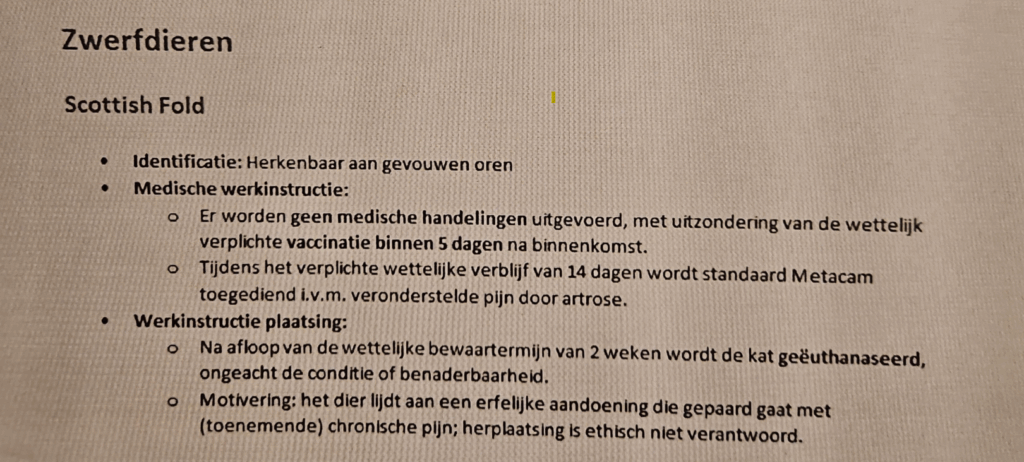Scottish folds die als zwerfdier binnenkomen worden binnen 14 dagen geëuthanaseerd | Screenshot werkinstructie Dierenbescherming