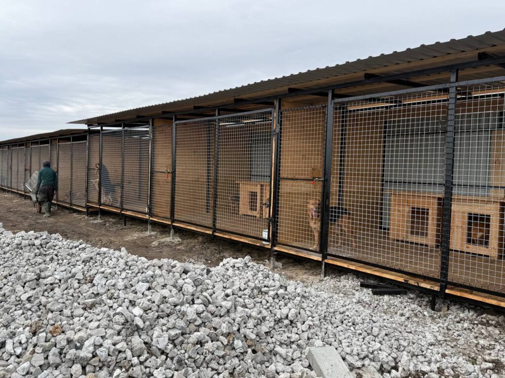 Eerste 16 grote hondenverblijven bij Pegasus zijn klaar