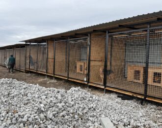 Eerste 16 grote hondenverblijven bij Pegasus zijn klaar