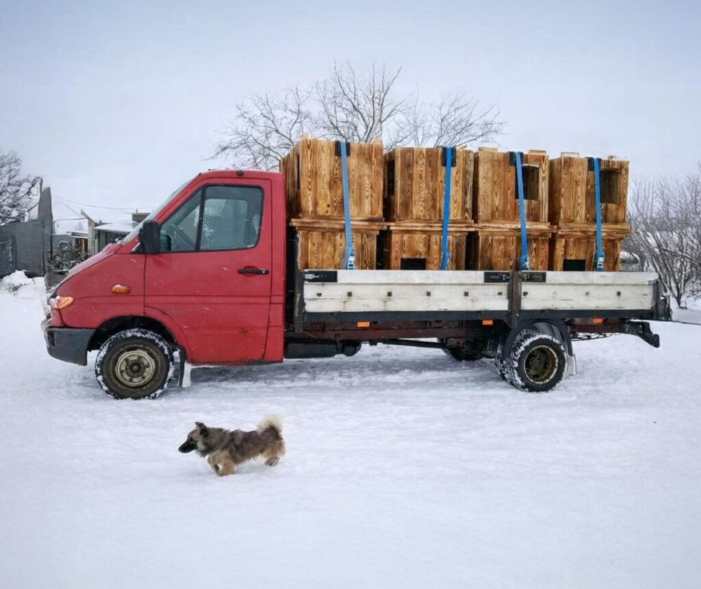 House of Animals bouwt verder aan hondendorp in Oekraïne | Foto: Pegasus voor House of Animals