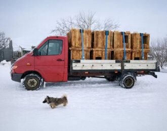 House of Animals bouwt verder aan hondendorp in Oekraïne