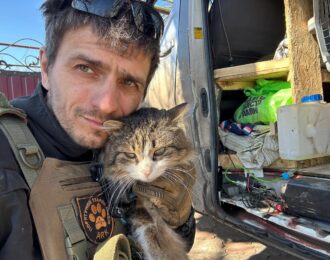 Katten redden uit het oorlogsgebied in Oekraïne