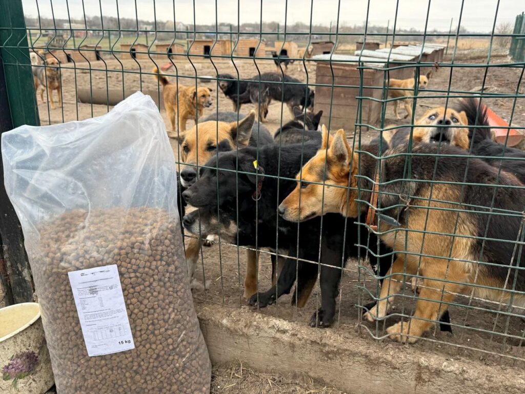 Drie vrachtwagens vol noodhulp bereiken dieren in Oekraïne